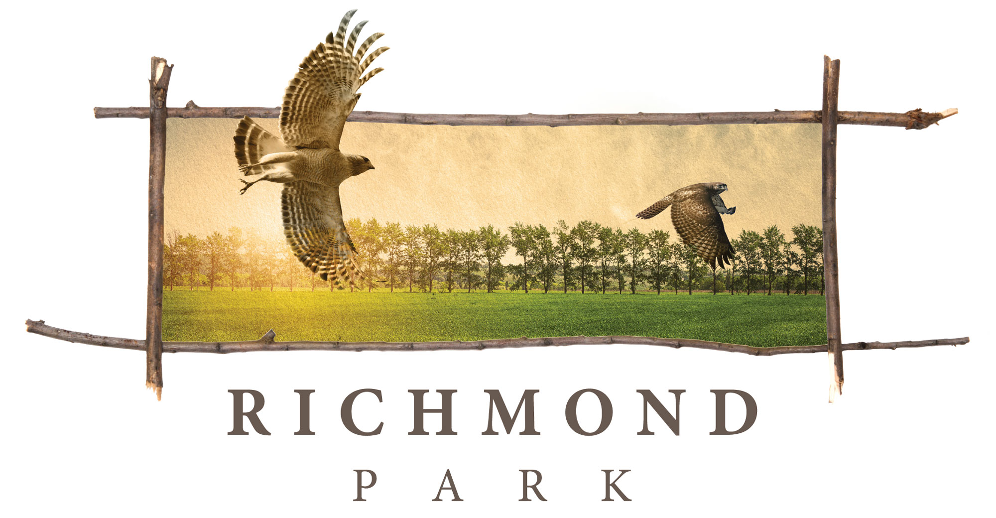 richmond_park-hero